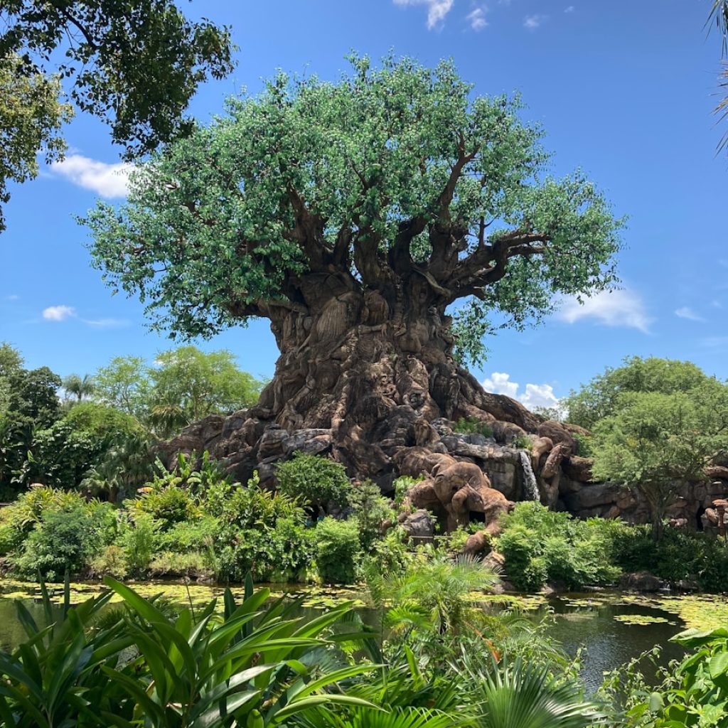 the tree of life at disney's animal kingdom