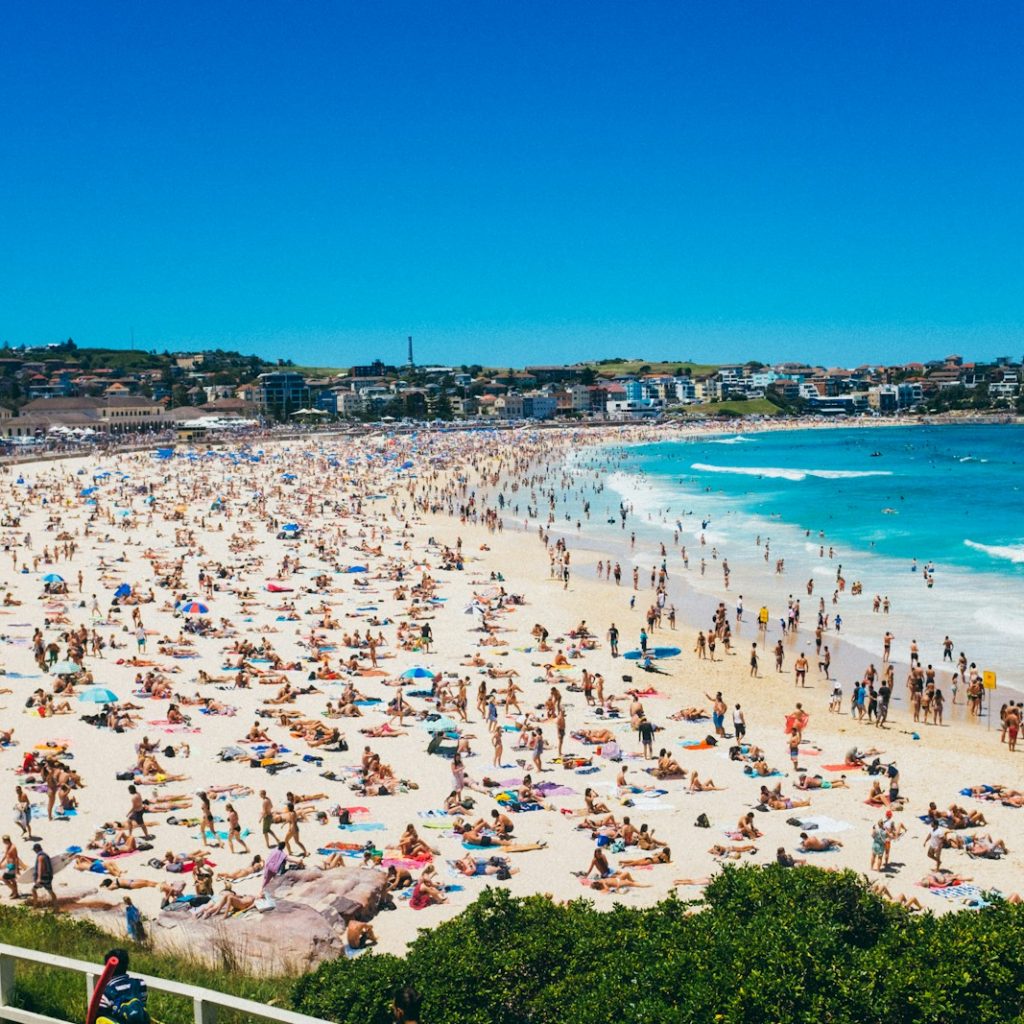 people on beach during daytime