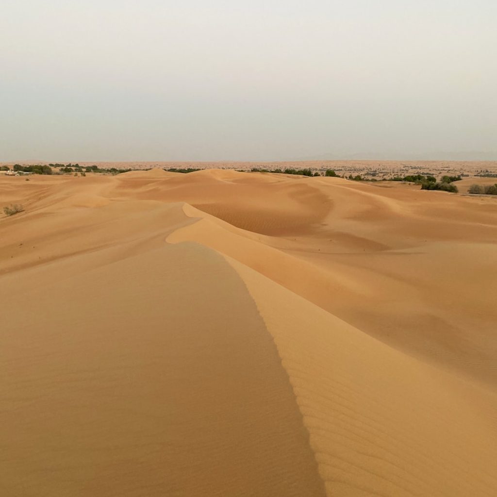 brown sand under white sky during daytime